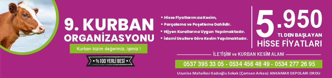 Gelsineve